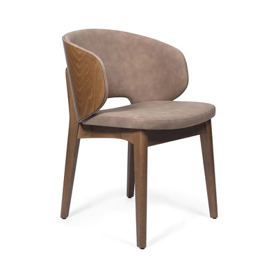 Everett Arm Chair