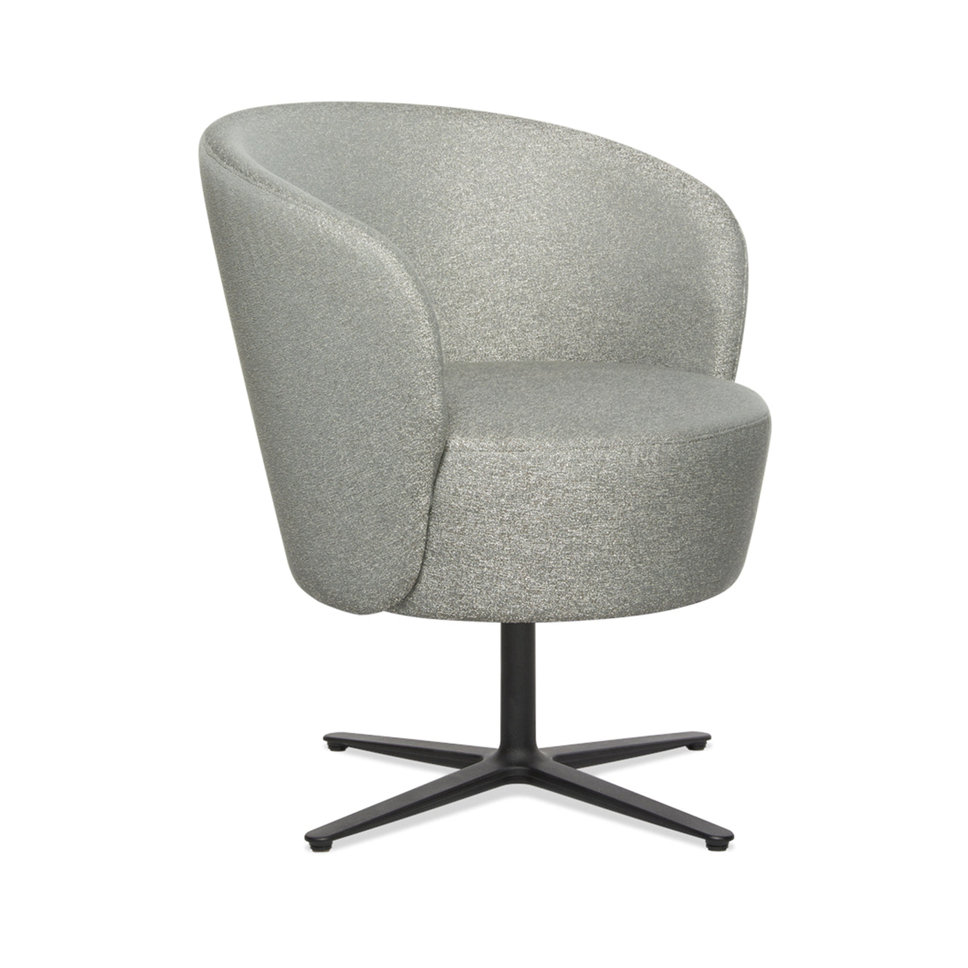 Rian Low Back Lounge Chair