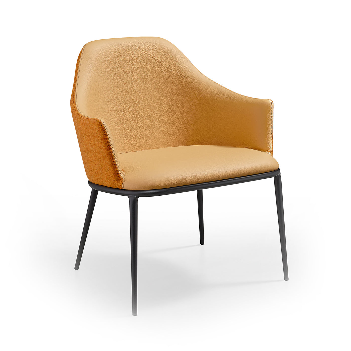 Roberto Arm Chair